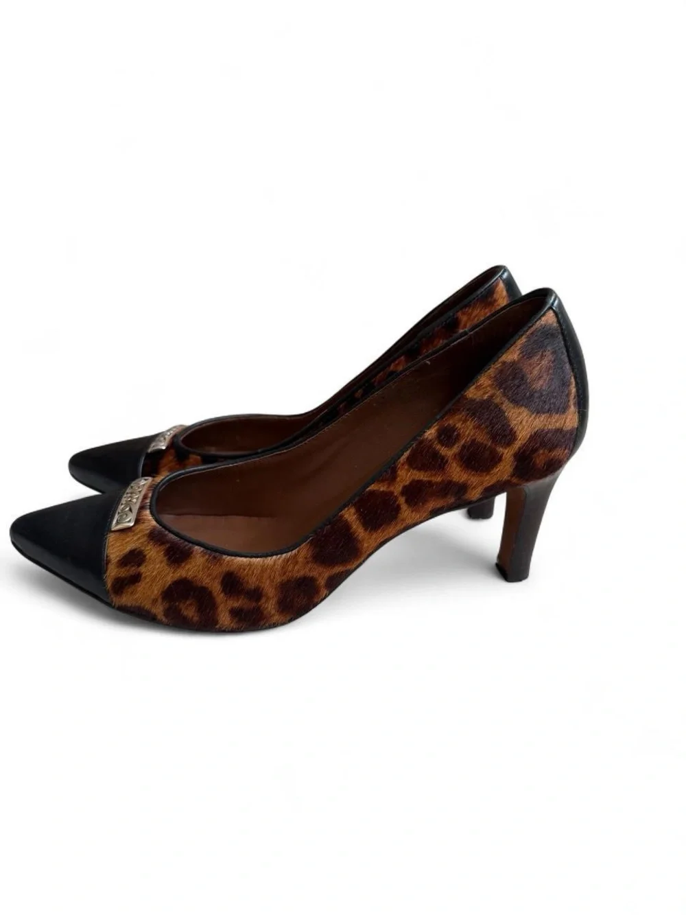 Brighton sophisticated leopard